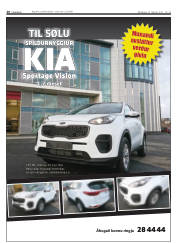 Síða 20