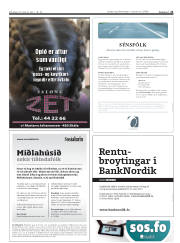 Síða 21