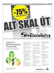 Síða 23