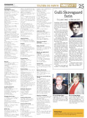 Síða 25