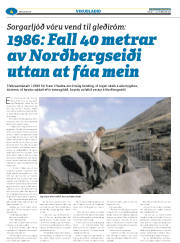 Síða 28