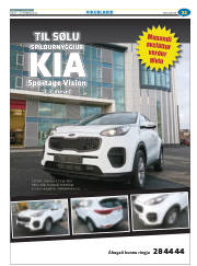 Síða 45