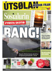 Síða 1
