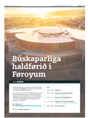 Síða 5