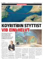 Síða 8
