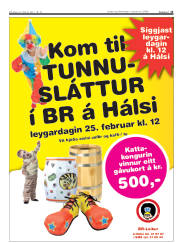 Síða 13