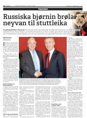 Síða 14