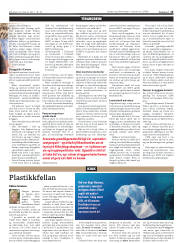 Síða 15
