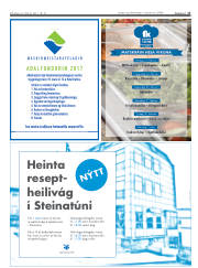 Síða 17
