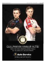 Síða 19