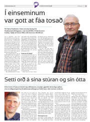 Síða 33
