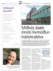 Síða 38