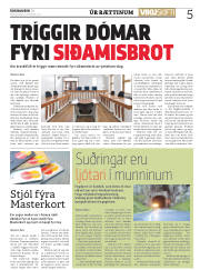 Síða 5