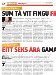 Síða 12