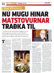 Síða 14