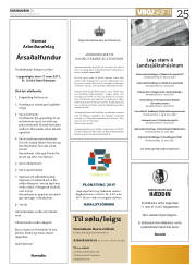 Síða 25