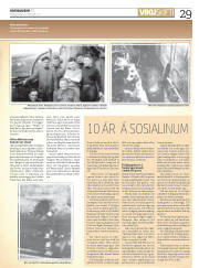 Síða 29