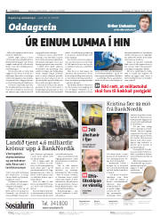 Síða 2