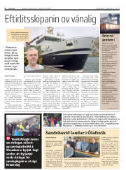 Síða 6