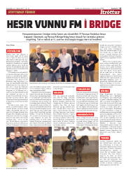 Síða 13