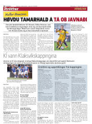 Síða 14