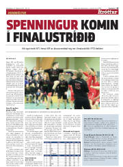 Síða 15
