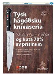 Síða 31