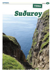 Síða 39