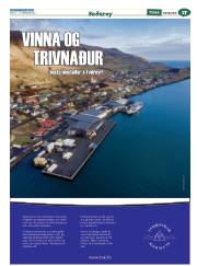 Síða 41