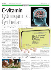 Síða 14