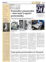 Síða 17