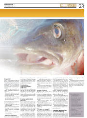 Síða 23