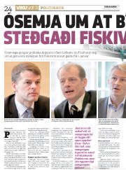 Síða 24