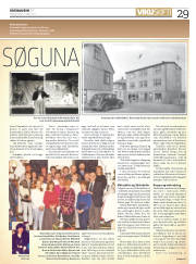Síða 29