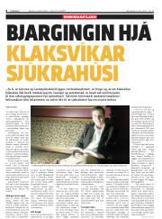 Síða 8