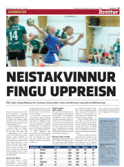 Síða 19