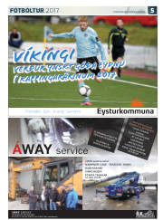 Síða 29