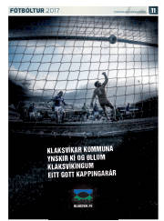 Síða 35