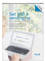 Síða 5