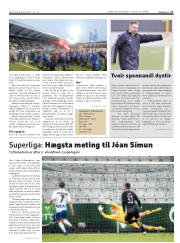 Síða 17