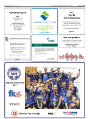 Síða 19