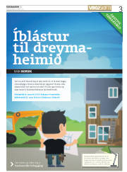Síða 3