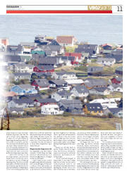 Síða 11