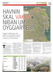 Síða 15
