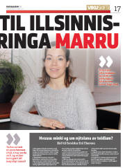 Síða 17