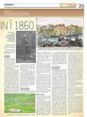 Síða 29