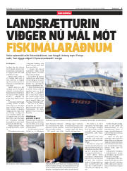 Síða 3
