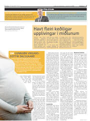 Síða 5