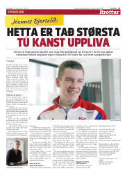 Síða 17