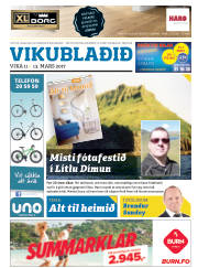 Síða 25
